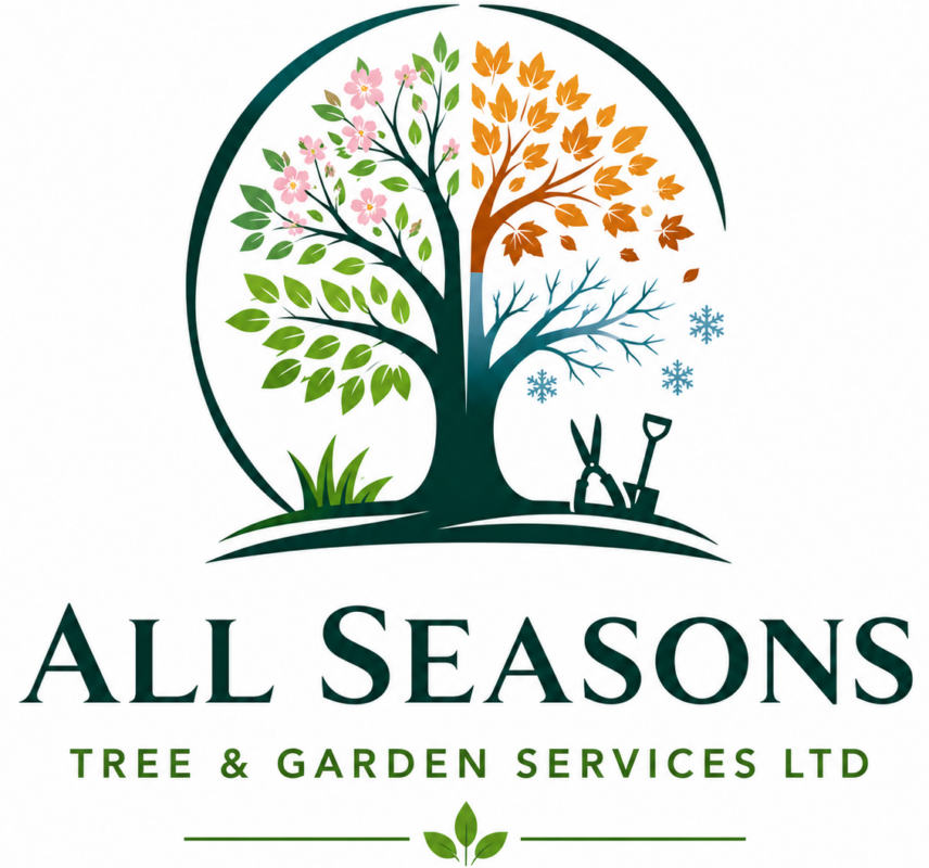 All Seasons Tree & Garden Services Ltd